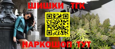 прущие крисы Моздок